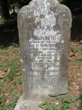 image of grave number 543134